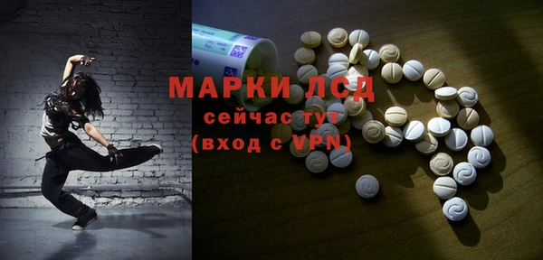 индика Осинники