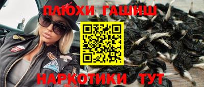 гашик Аргун