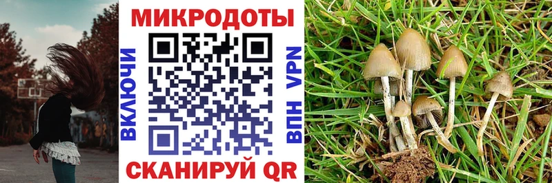 Псилоцибиновые грибы прущие грибы  Асбест 