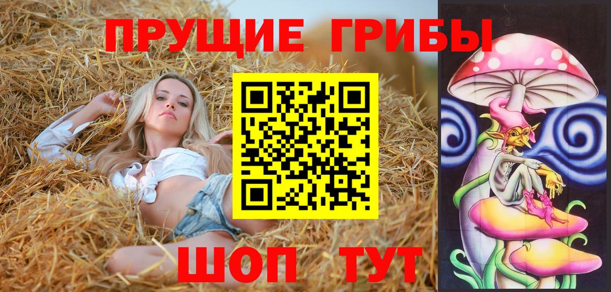 Псилоцибиновые грибы Cubensis Асбест