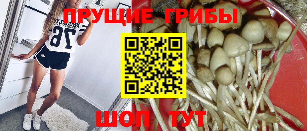 Галлюциногенные грибы Magic Shrooms  Вход с VPN  продажа наркотиков  Асбест 