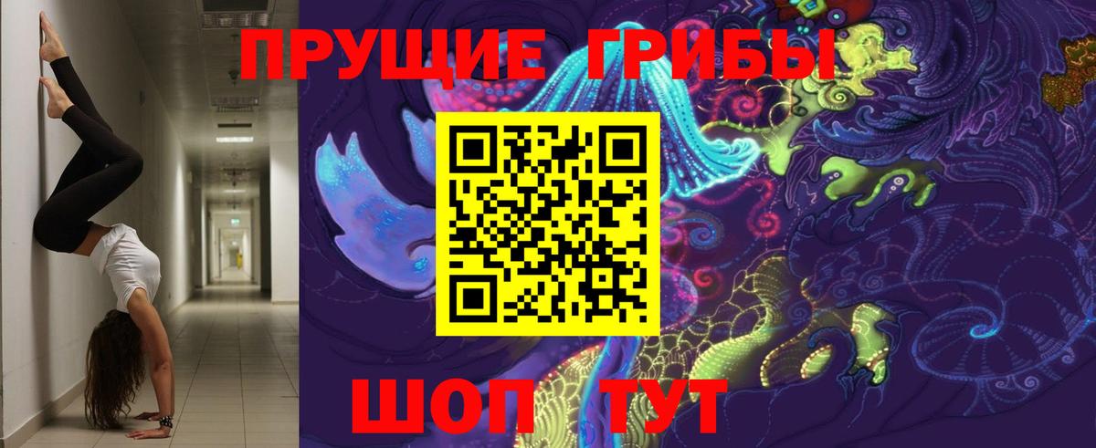 Галлюциногенные грибы GOLDEN TEACHER  Асбест 